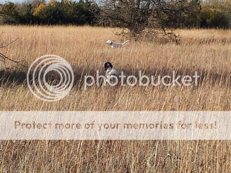 20131110_150953.jpg