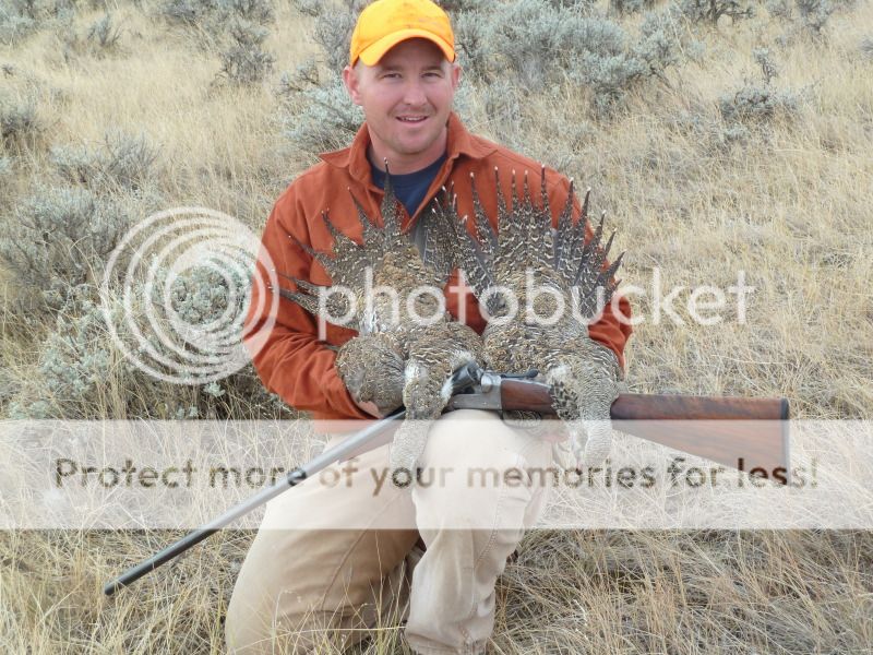 Montana_108.jpg
