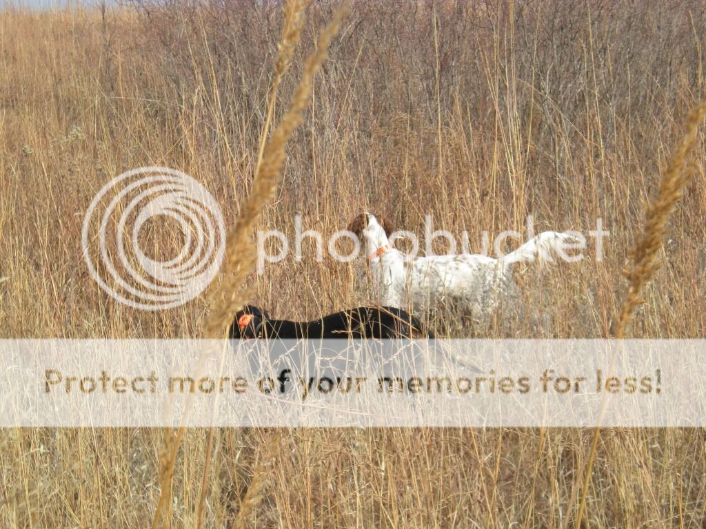 Nov09_7.jpg