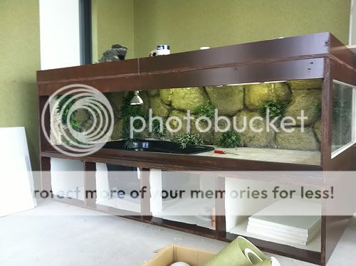 Het Grote Aquarium Topic u00b7 forumonderwerp Het Grote Aquarium Topic u00b7 forumonderwerp