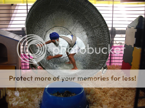 i935.photobucket.com