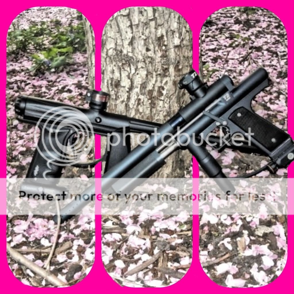 Posted Image
