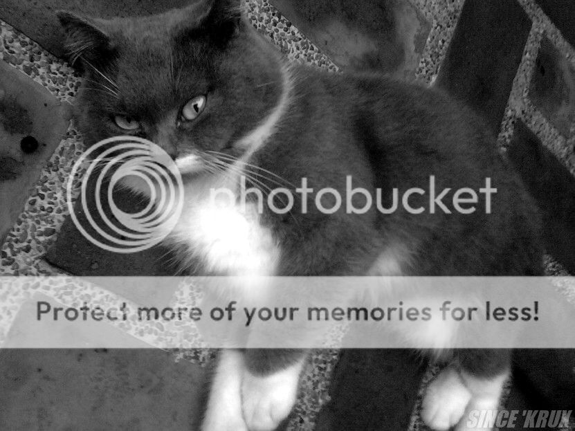 Photobucket