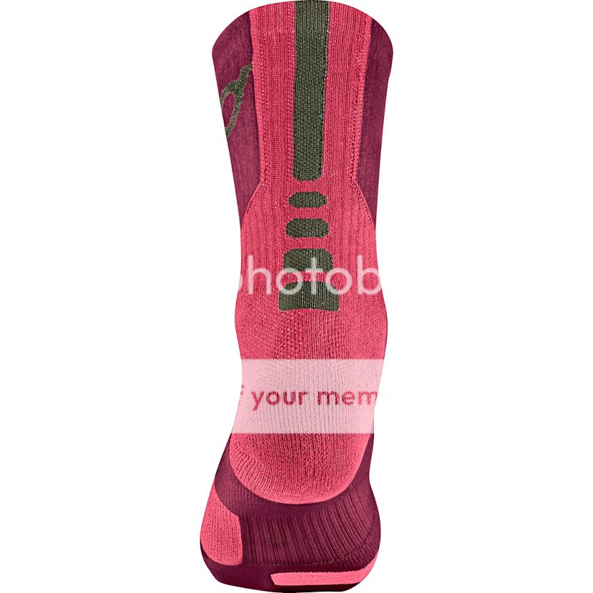  photo KD_Weatherman_sock_back_view_21928_zps0664b7b7.jpg