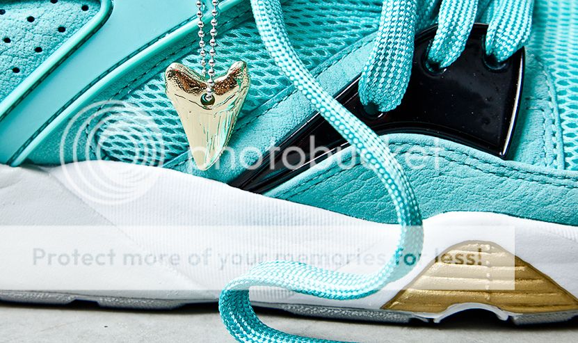 photo sharkbait-sneaker-freaker-tooth_zps76252517.jpg