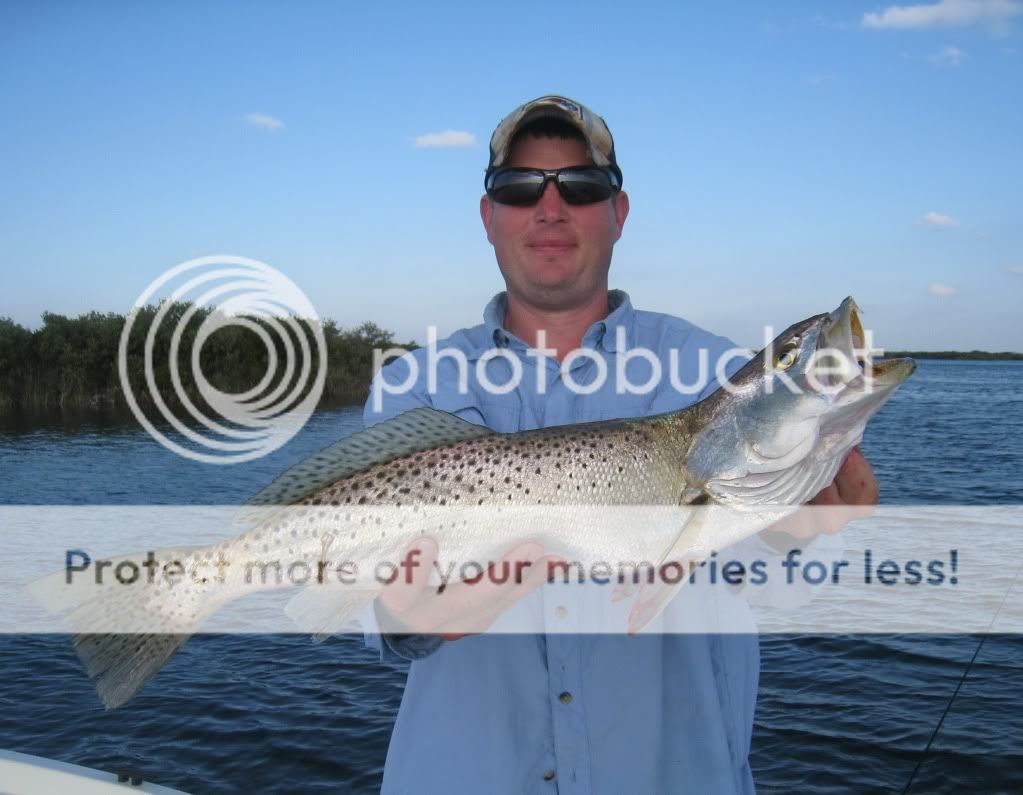 IMG_0133.jpg