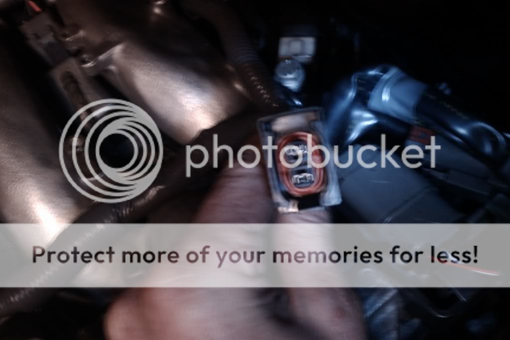 IMAG0202.jpg?t=1299072703