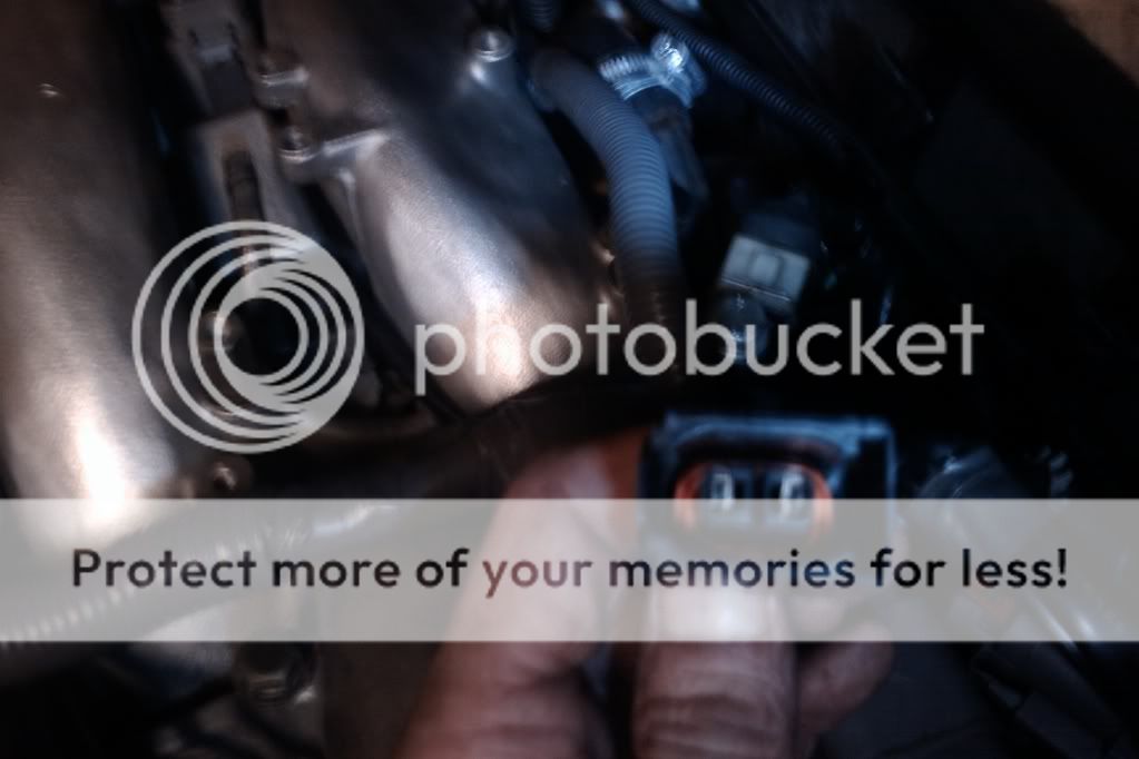 IMAG0203.jpg?t=1299072703