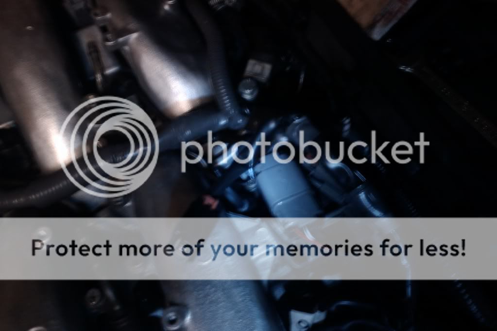 IMAG0204.jpg?t=1299072703