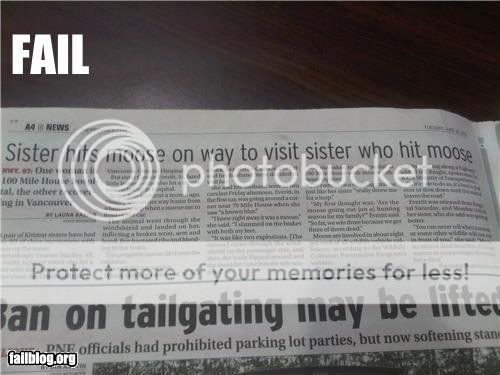 moose.jpg?t=1282744042