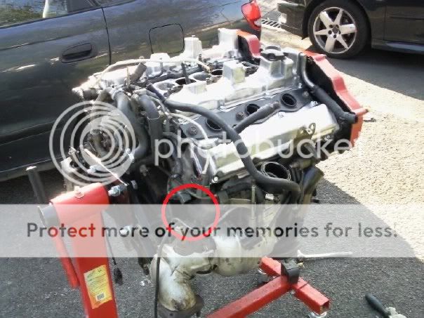 n708486889_1359324_4385-1.jpg?t=1299781815